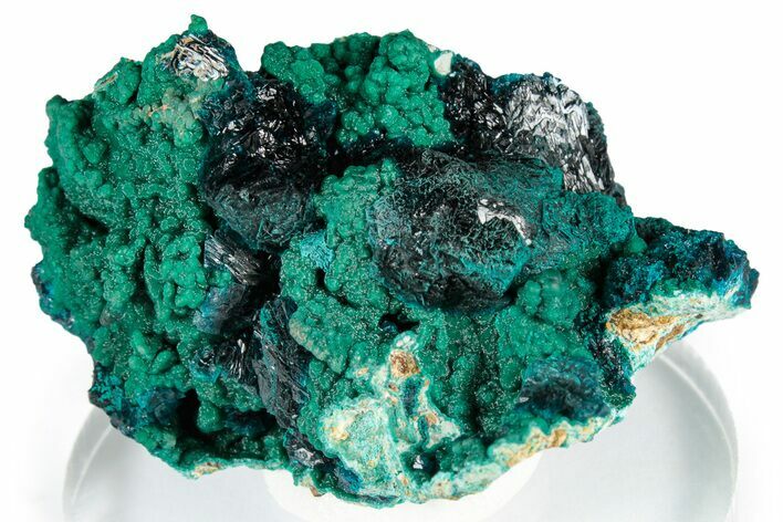 Blue Veszelyite and Kipushite on Zincolibethenite - Congo #351589